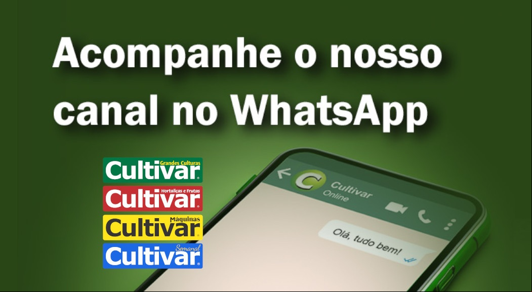 ar grupo whatsapp